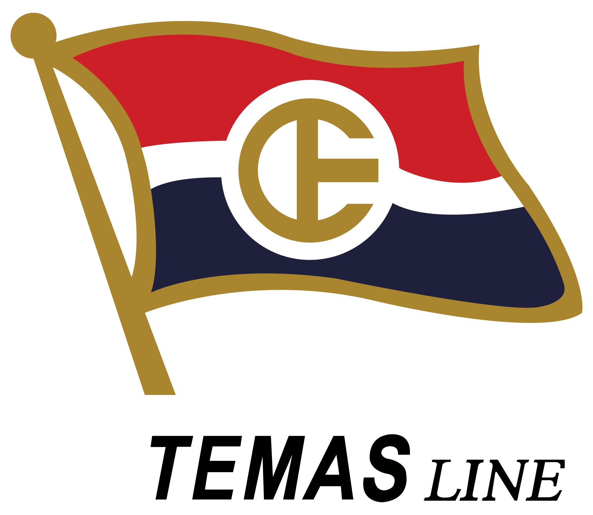 LOGO TEMAS LOGO TEMAS